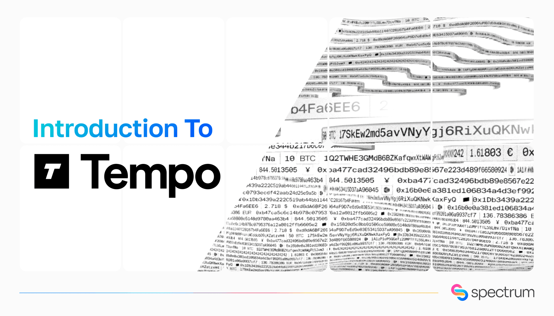 Featured image for: What Is Tempo Network? Stripe’s Stablecoin Payments Blockchain