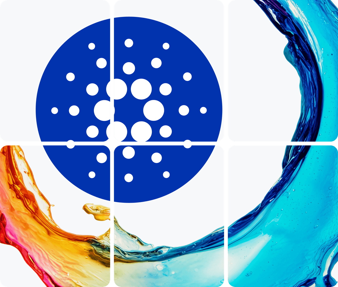 cardano network illustration