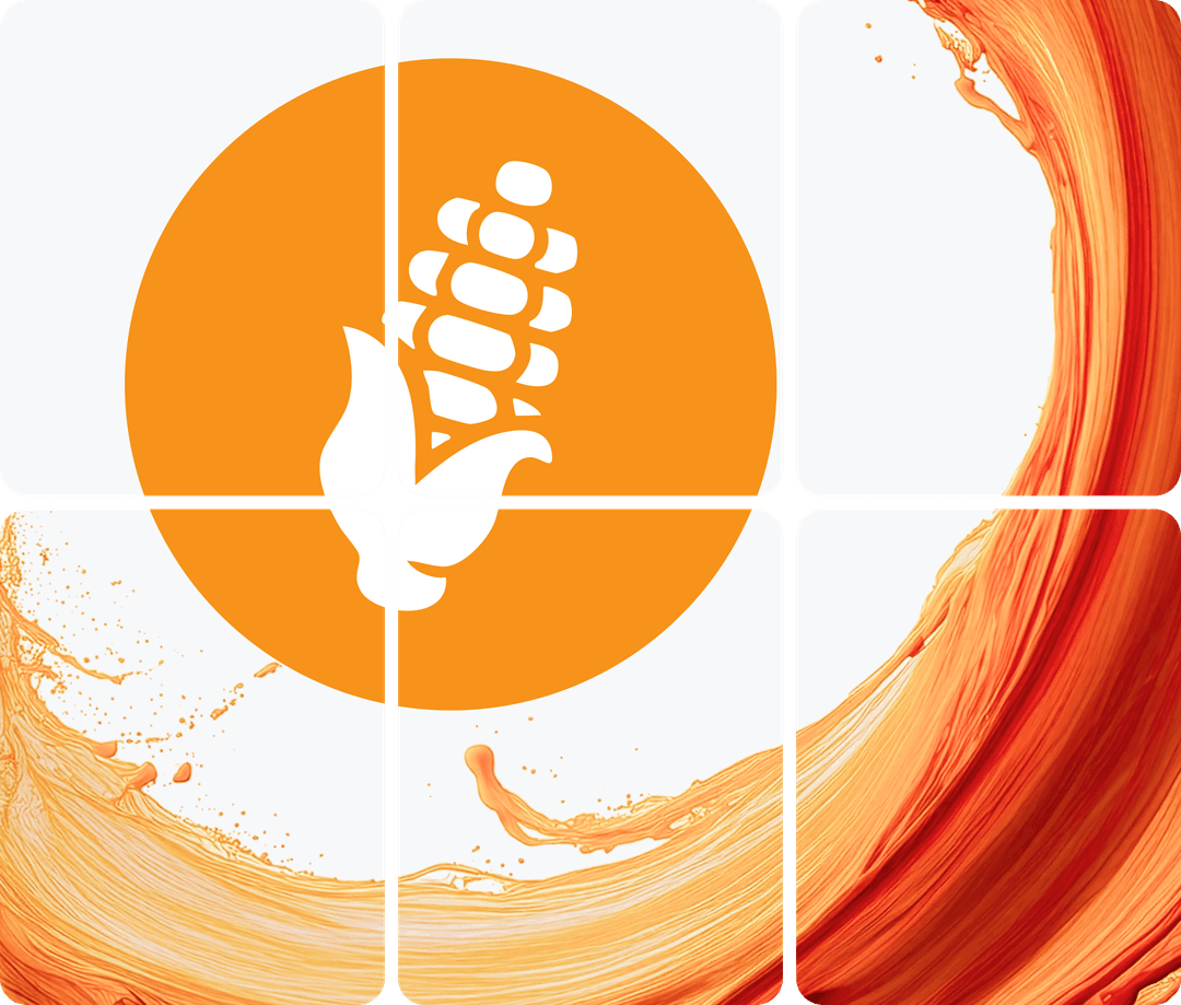 corn network illustration