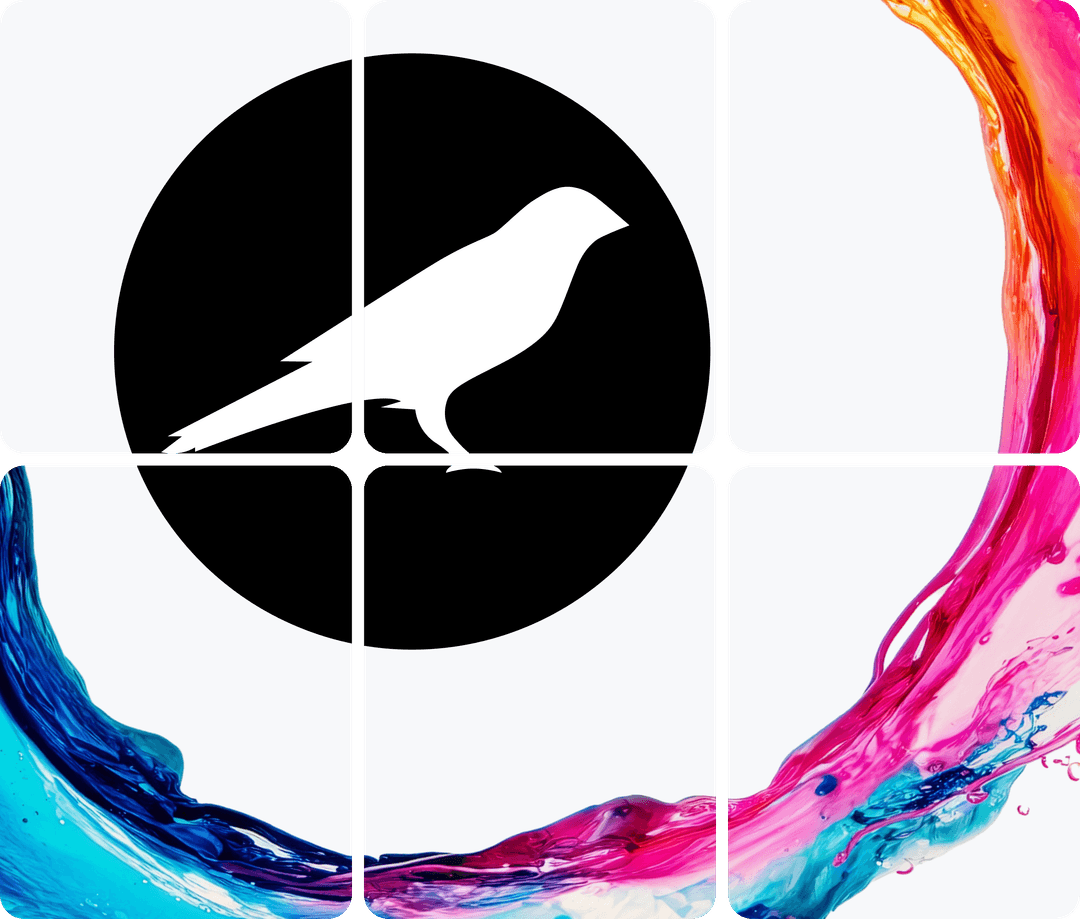 kusama network illustration