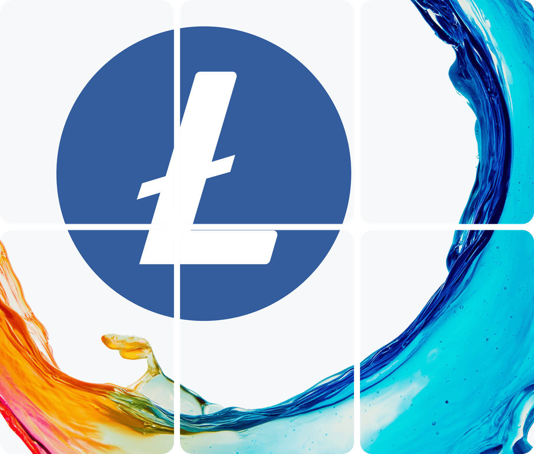 litecoin network illustration