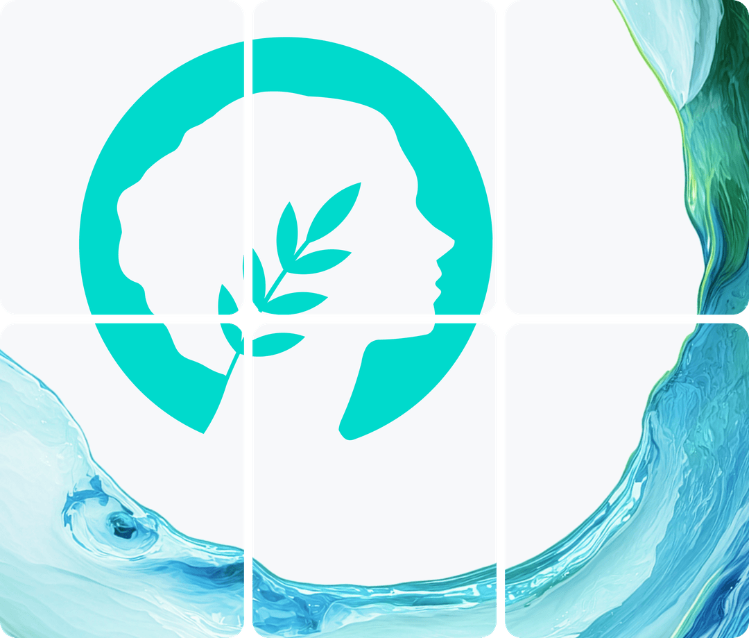 metis network illustration