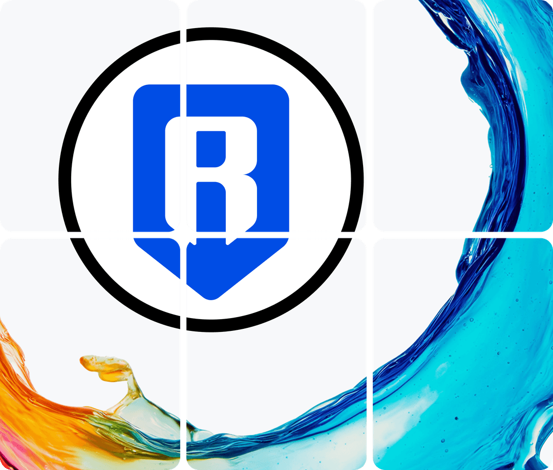 ronin network illustration