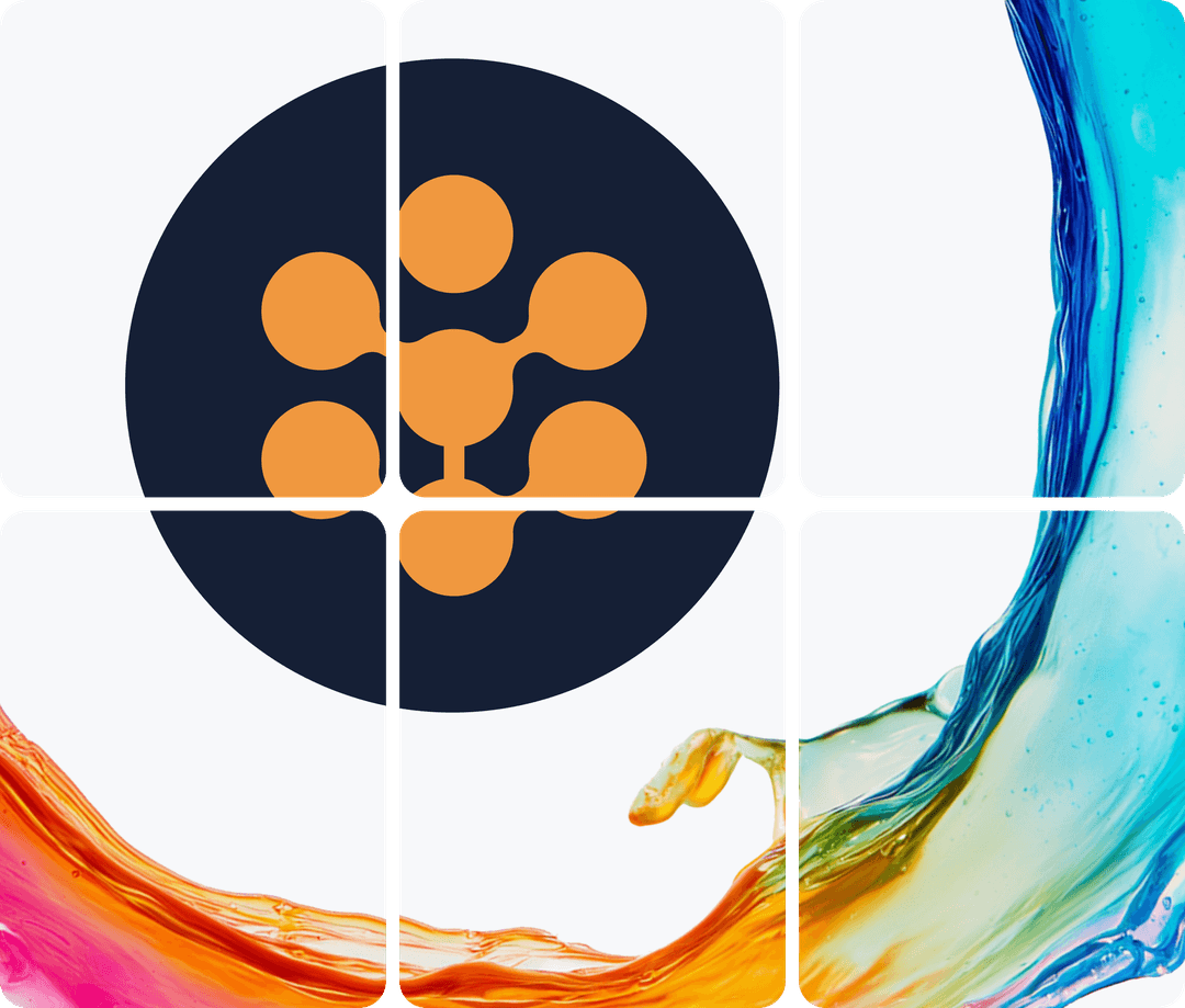 rsk network illustration