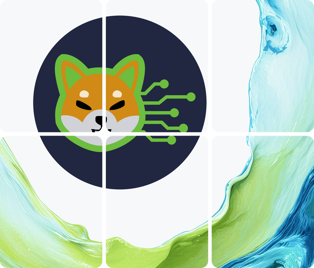 shibarium network illustration