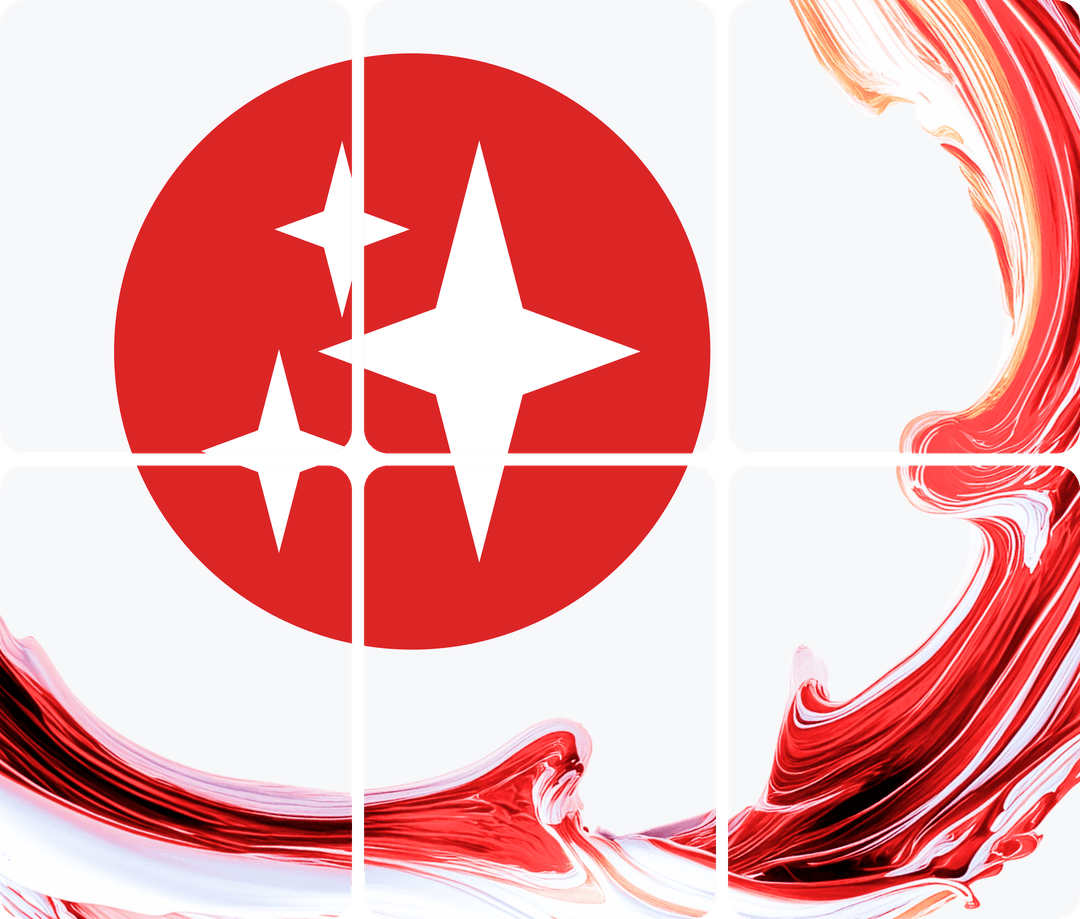 treasure network illustration