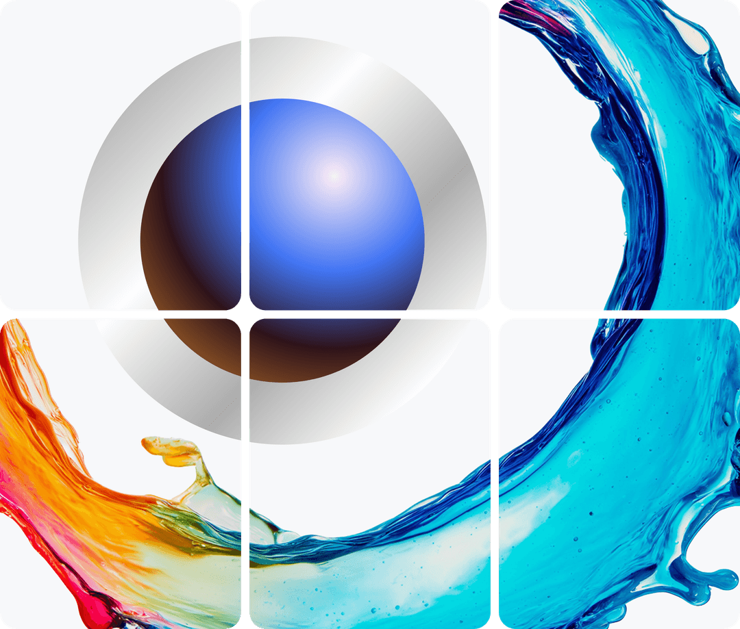 zora network illustration